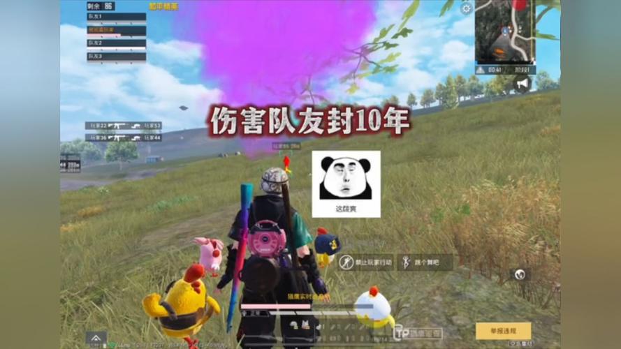 和平精英《独行者》外挂